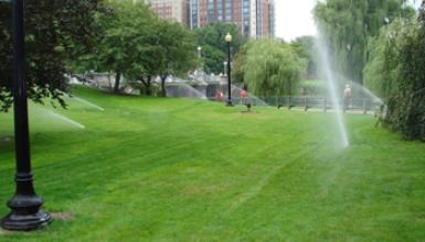 Sprinklers in Boston Public Garden 