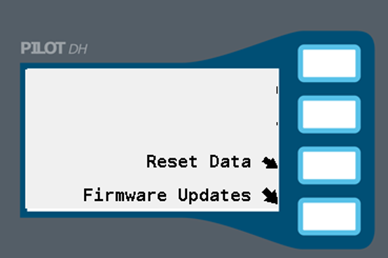 Image showing the Reset Data option.