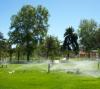 Spray Sprinklers in Park 