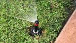 Regolaz. e manutenzione irrigatori