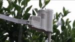 Solar Sync: il controllo intelligente dell'irrigazione è diventato semplice